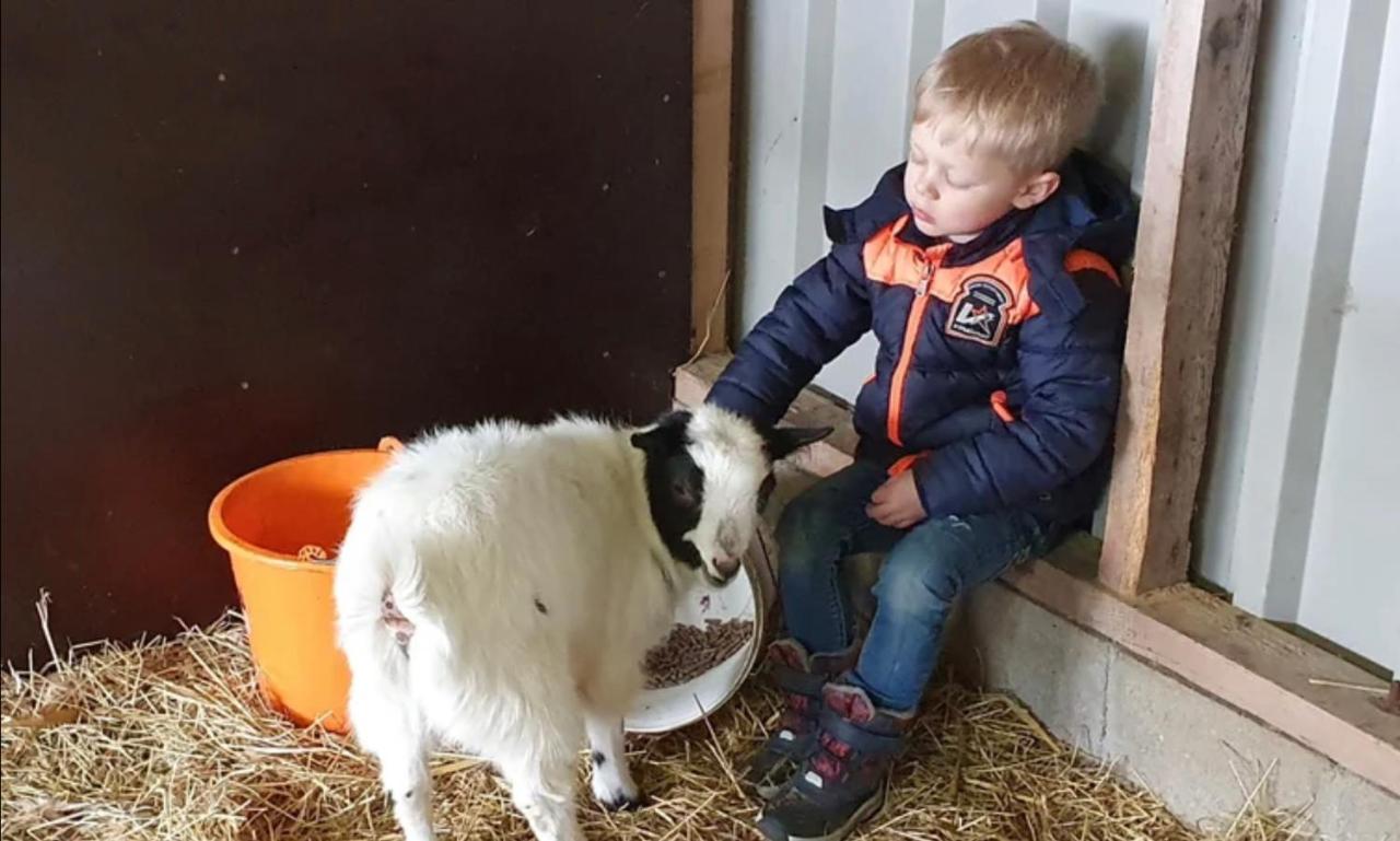 Vakantieboerderij Huize Nuis Noordbeemster Exteriér fotografie