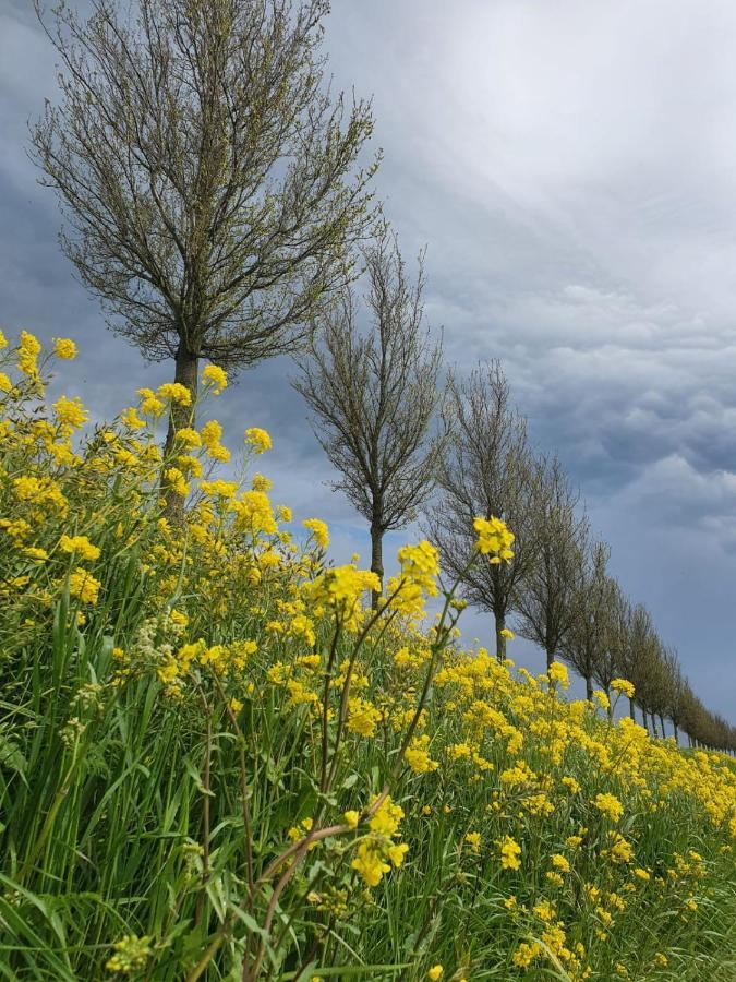 Vakantieboerderij Huize Nuis Noordbeemster Exteriér fotografie