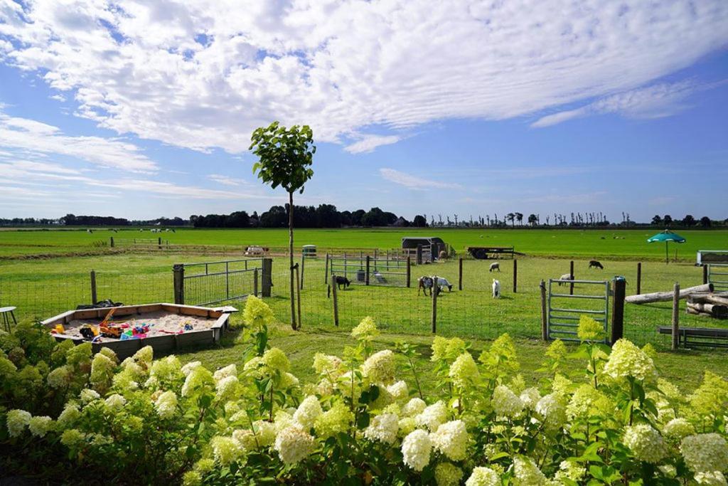 Vakantieboerderij Huize Nuis Noordbeemster Exteriér fotografie